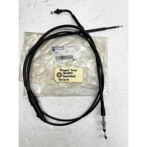 Peugeot Buxy gaskabel