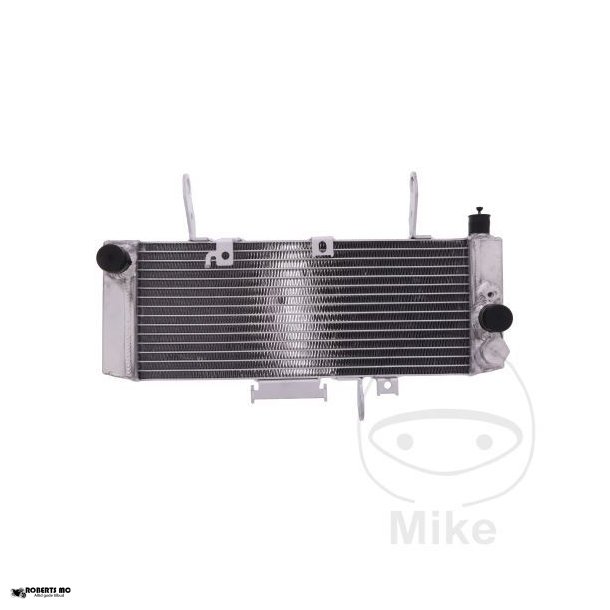 Vandkler Suzuki SV650, 03-04