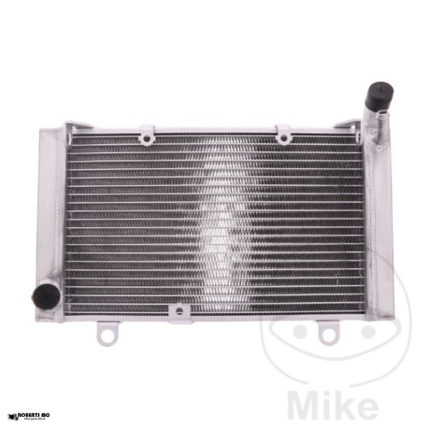 Vandkler Honda CBF1000, 06-12