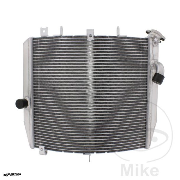 Vandkler Kawasaki ZX-10R, 11-19