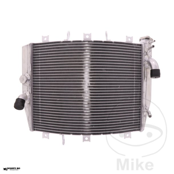 Vandkler Kawasaki ZX-6R Ninja, 98-99