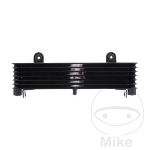 Oliekler Yamaha XJ900S Diversion, 95-03
