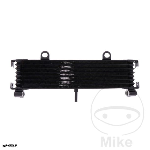 Oliekler Yamaha XJR1300, 99-03