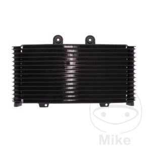 Oliekler Suzuki GSF1200 Bandit, 01-06