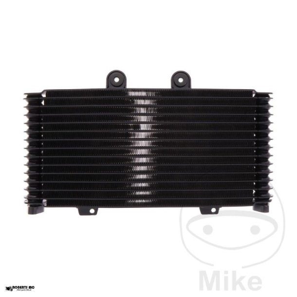 Oliekler Suzuki GSF1200 Bandit, 01-06