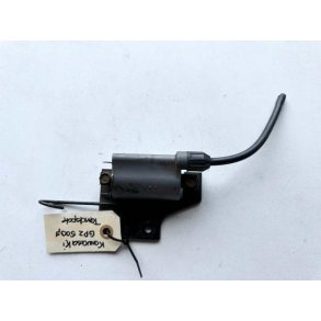 Kawasaki GPZ500S tndspole