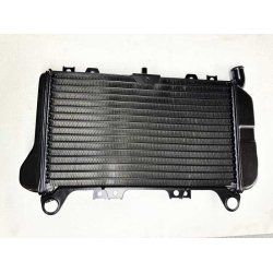 Kawasaki ZZR600 D, ZX600-D kler