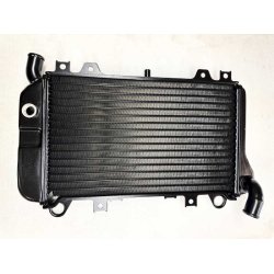 Kawasaki ZZR600 D, ZX600-D kler