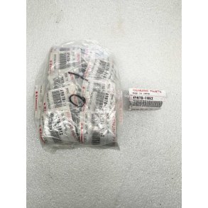 Kawasaki Spring-engine