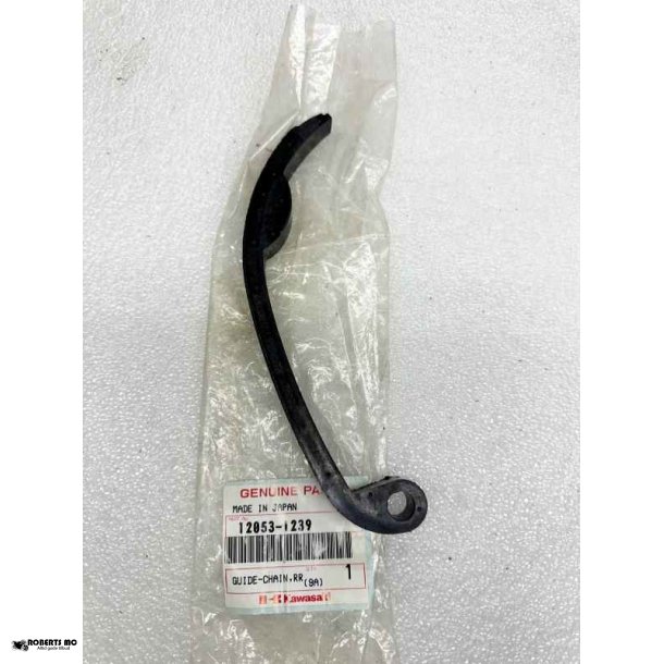 Kawasaki Guide-Chain 