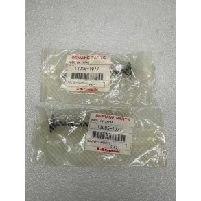 Kawasaki Valve Exhaust udst�dningsventil