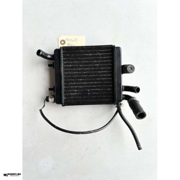 Suzuki Katana vandkler