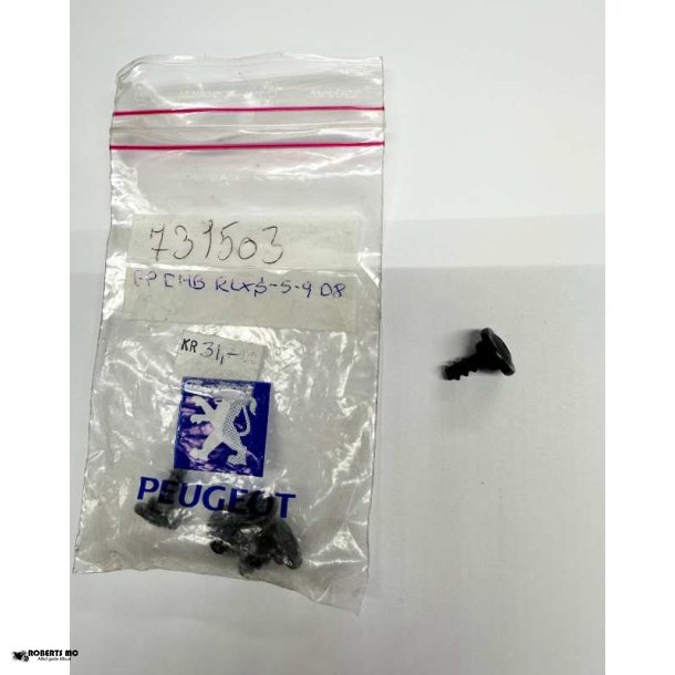 Peugeot skruer til plastik