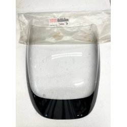 Yamaha FZ750 kbeglas