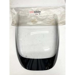 Yamaha FZ750 kbeglas