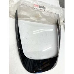 Yamaha FZ750 kbeglas