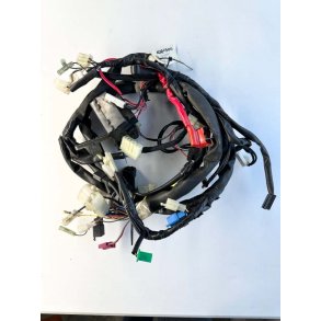 Yamaha XJR1300 ledningsnet