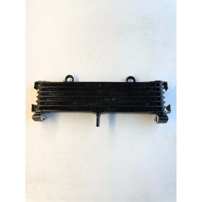 Yamaha XJR1300 oliekler