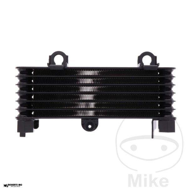 Oliekler Suzuki DL1000 V-Strom, 02-10